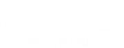لوگو باهر گستر